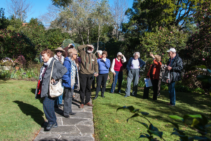 Dural and District Historical Society visit to the historical Eryldene House and Camellia garden, Gordon, NSW.
